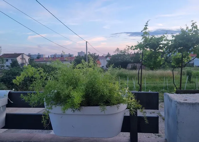 Apartman Dasa