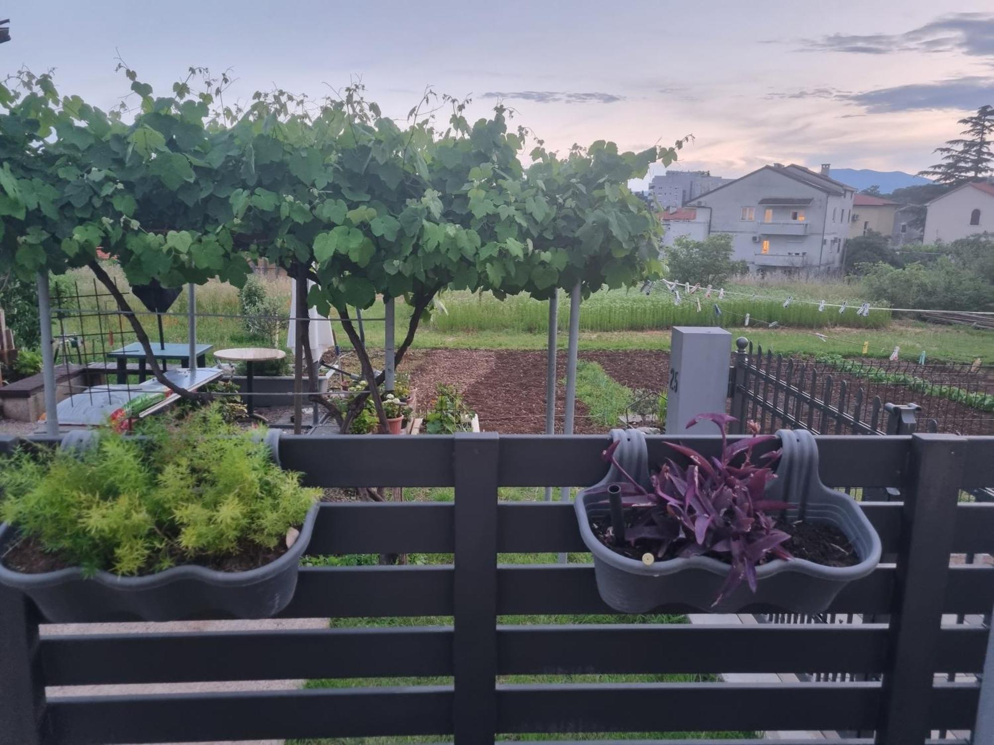 Apartma Dasa Rijeka