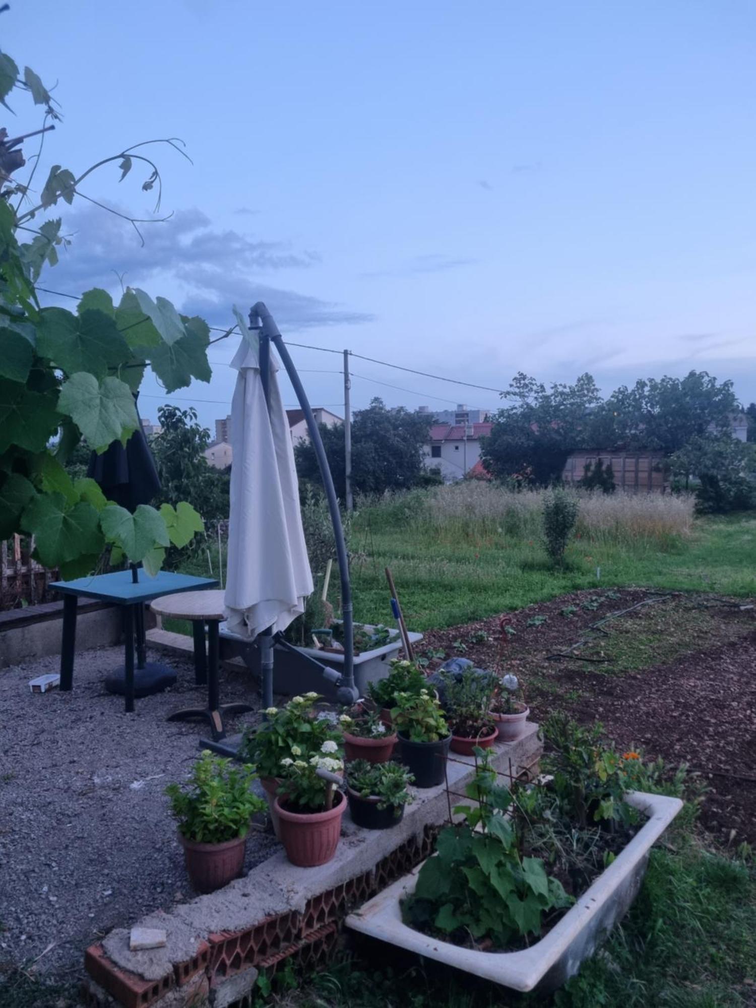 Apartma Dasa