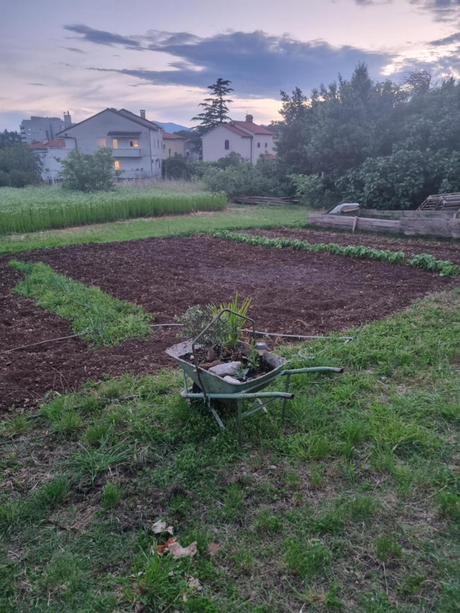 Dasa Apartma Rijeka